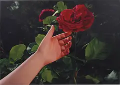 Mustafa Hulusi, Untitled (Red Rose and Hand), 2005, oil on canvas