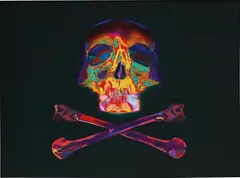 Piotr Uklański, Untitled (Monsieur Francois Pinault, Président du groupe Artemis), 2003, chromogenic print
