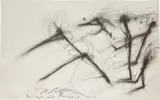Arnulf Rainer, Jagd