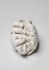 Untitled (Eggs) by David Altmejd, 2010, plaster and burlap, offered Dec 2018