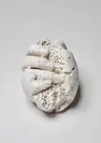 David Altmejd, Untitled (Eggs), 2010, plaster and burlap