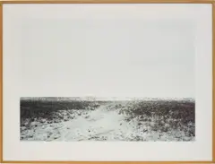 Westhoek by Elger Esser, 2000, colour coupler print mounted to Diasec, in artist's frame, sold Dec 2018