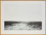 Elger Esser, Westhoek