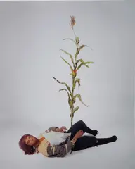 Sam Durant, Male Colonist (with cornstalk), 2006, c-print