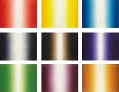 Shadow by Anish Kapoor, 2007, The complete set of nine etchings in colours, on Somerset Textured paper, the full sheets, with the original black buckr, sold Jan 2018