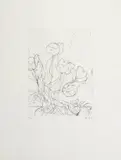 Richard Diebenkorn, Tulips, 1989, Soft-ground etching, on Rives paper, with full margins