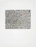 Jasper Johns, Corpse and Mirror, 1976, Etching and aquatint in colours, on BFK Rives paper, with full margins