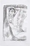 Nu assis dans un fauteuil au décor fleuri (Nude Sitting in a Floral Decorated Armchair) by Henri Matisse, 1924, Lithograph, on thin laid paper, with full margins, sold Jun 2018