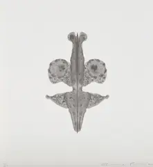 Cornelia Parker, Pornographic Drawing, 2000, Lithograph, on wove paper, with full margins