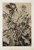 Jim Dine, Details from Nancy's Garden, from The Temple of Flora, 1984, Drypoint, engraving, and electric tools, on BFK Rives paper, with full margins, with accompanying original paper folio with printed title