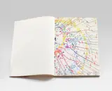Damien Hirst, Making Beautiful Drawings