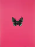 It's a Beautiful Day: one plate by Damien Hirst, 2013, Polymer-gravure block print in colours, on Zerkall Paper, the full sheet, sold Jun 2018
