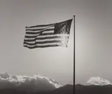 American Flag by Robert Mapplethorpe, 1987, Gelatin silver print, flush-mounted, sold May 2018