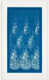 Calavas Frères, Lace, 1875-1890s, Unique cyanotype photogram