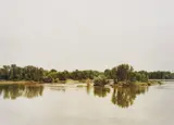 Elger Esser, Loire et Cher, Frankreich, 2000, Chromogenic print, face-mounted