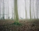 How to Hunt: Tvedelykkemarken (Bjornemosen) by Nicolai Howalt and Trine Søndergaard, 2005-2007, Chromogenic print, flush-mounted, sold May 2018