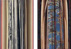 Veronica Bailey, Selected works, 2003-2007, Two chromogenic prints, each flush-mounted