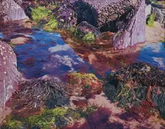 Nick Waplington, Rock Pool No. 1, 2004, Chromogenic print, flush-mounted