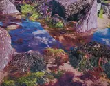 Nick Waplington, Rock Pool No. 1, 2004, Chromogenic print, flush-mounted