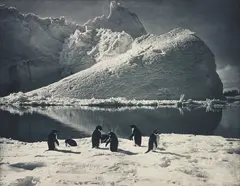 Herbert Ponting, Penguins and Iceberg, Antartica, 1910-1913, Blue-toned carbon print