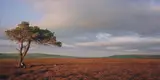 Sarah Michael, Burn Howe Rigg, 2007, Archival pigment print, flush-mounted