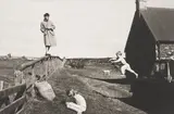 Linda McCartney, Paul, Stella and James, Scotland, 1982, Platinum print, printed later