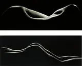 Simon Chaput, Selected works, 2002, Two gelatin silver prints, each mounted