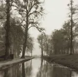 Lynn Geesaman, Annevoie, Belgium (4-04-3-2), 2004, Gelatin silver print