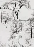 André Kertész, Washington Square Park