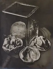 Man Ray, Untitled (Solarised walnuts), 1930-1931, Solarised gelatin silver print