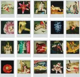 20 Polaroids by Nobuyoshi Araki, n.d., 20 unique Polaroid Type 600 prints, sold Nov 2018