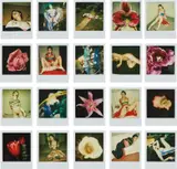 20 Polaroids by Nobuyoshi Araki, n.d., 20 unique Polaroid Type 600 prints, sold Nov 2018