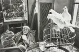 Henri Cartier-Bresson, Henri Matisse, Vence, France