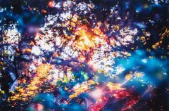 Yōsuke Takeda, Stay Gold 144540 from Digital Flare, 2014, Chromogenic print, flush-mounted