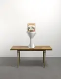 Sarah Lucas, Toilet Elevation