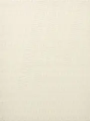 Tauba Auerbach, Ray II, 2012, woven canvas
