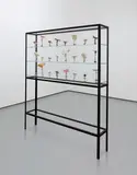 Carsten Höller, Doppelpilzvitrine (24 Doppelpilze)