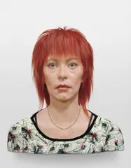 Evan Penny, No one - in particular #15, Series 1, 2005, silicon, pigment, hair and fabric on aluminium