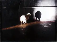 Desert by Douglas Gordon, 2008, c-print, offered Mar 2017