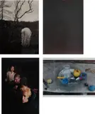 Wolfgang Tillmans, Four works: (i) Bück Dich, Studland; (ii) 8407-24; (iii) Group on Chelsea staircase; (iv) August