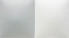 Dean Levin, Untitled (G+W), 2014, oil on Fiberglass reinforced plaster, diptych