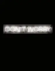 Work No. 230 (Don’t Worry) by Martin Creed, 2000, white neon, sold Apr 2017