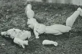 Untitled # 342 by Cindy Sherman, 1999, gelatin silver print, sold Apr 2017