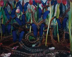 Untitled (Blue Butterflies) by Gregory Crewdson, 1997, c-print, sold Apr 2017