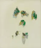Helmut Dorner, Boudoir, 1998, lacquer and oil on Plexiglas box