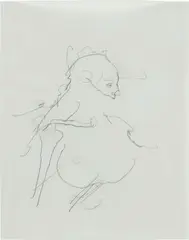 Chloe Piene, Two Ribs, 2008, charcoal on vellum paper