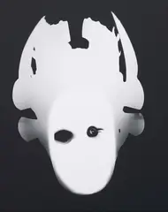 Adam Fuss, Untitled, 2006, unique photogram