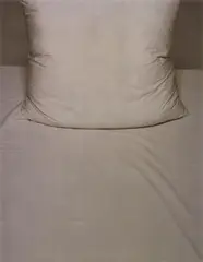 ME#11 by Inez van Lamsweerde, 1998, cibachrome laid down on Plexiglas, sold Apr 2017