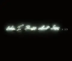 When I Think About Sex by Tracey Emin, 2005, neon, sold Jun 2017