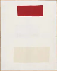 Ethan Cook, Untitled 34, 2013, hand woven cotton canvas and canvas, in artist's frame